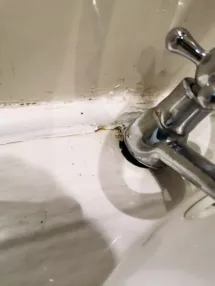 Bathroom Leak 4