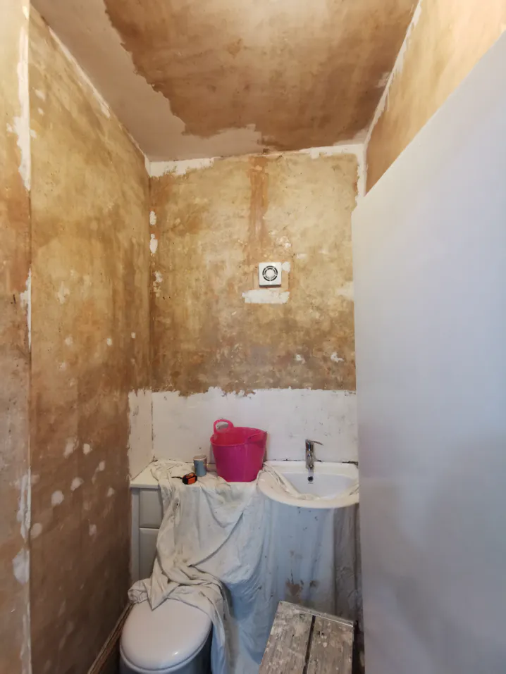 repointing 2 Enlarged